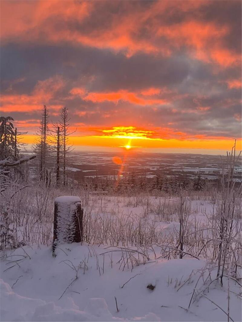 Winterliche Leserfotos aus der Region.