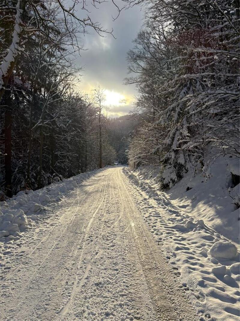 Winterliche Leserfotos aus der Region.