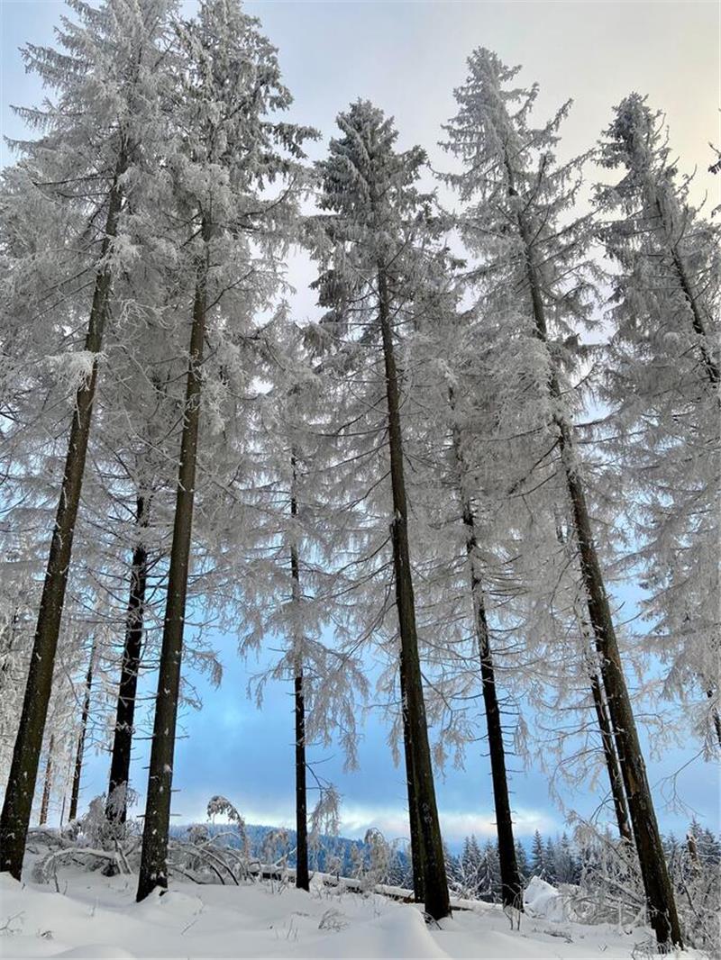Winterliche Leserfotos aus der Region.