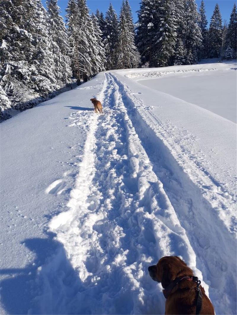Winterliche Leserfotos aus der Region.