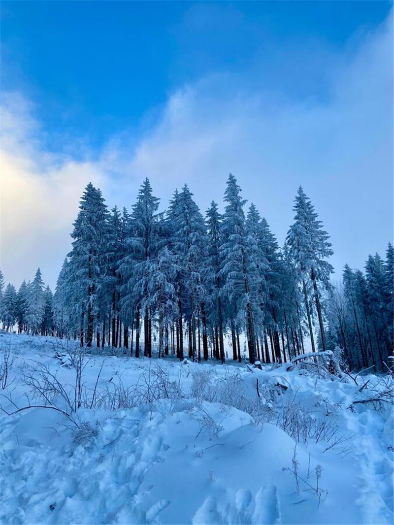 Winterliche Leserfotos aus der Region.