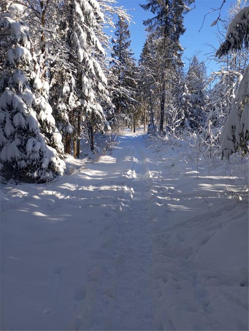 Winterliche Leserfotos aus der Region.