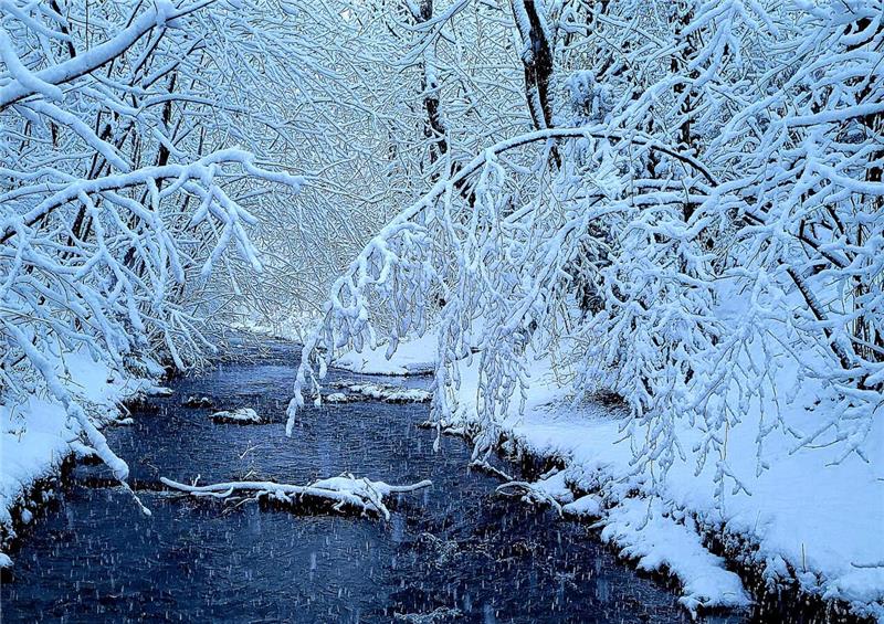 Winterliche Leserfotos aus der Region.
