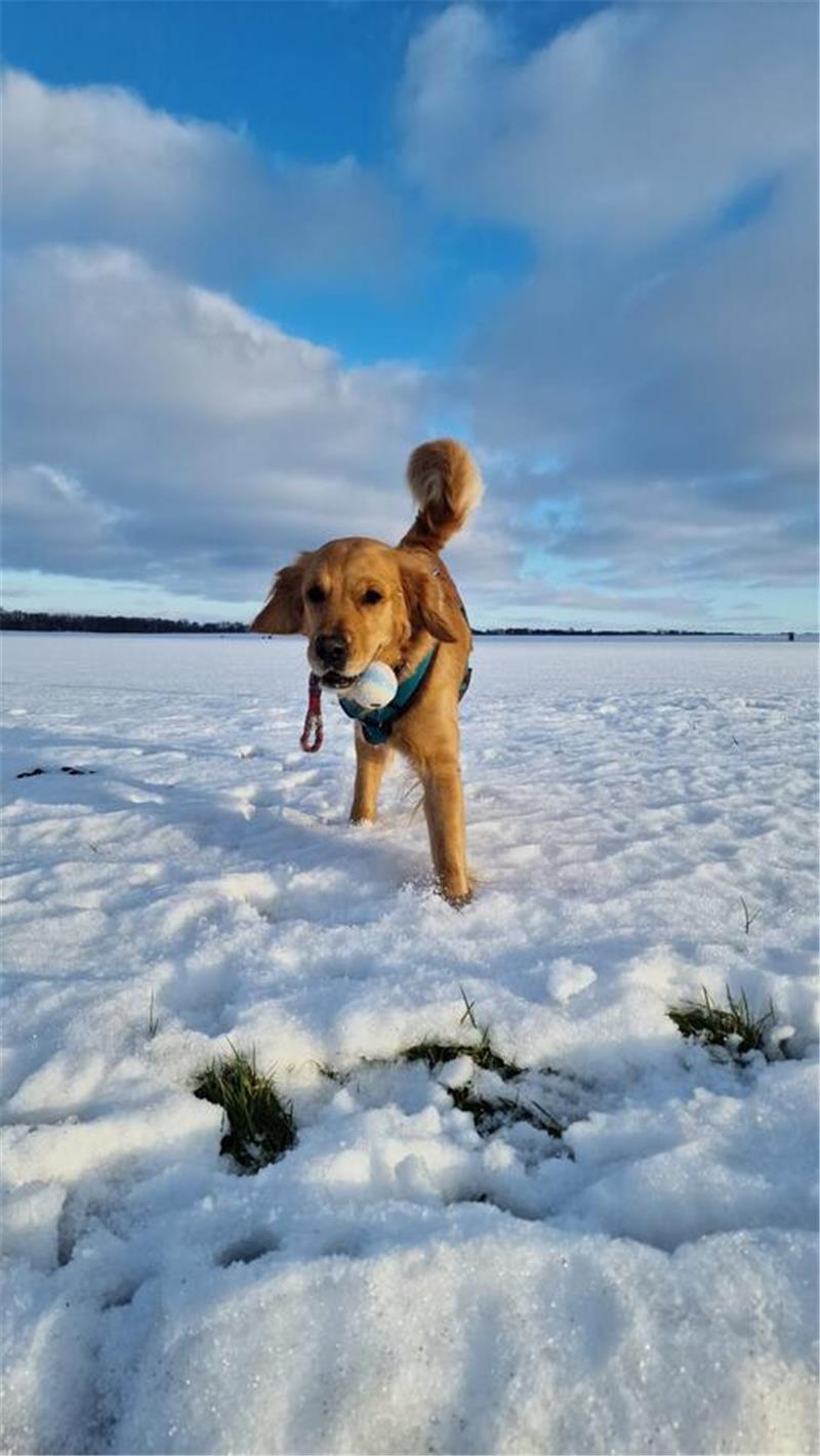 Winterliche Leserfotos aus der Region.