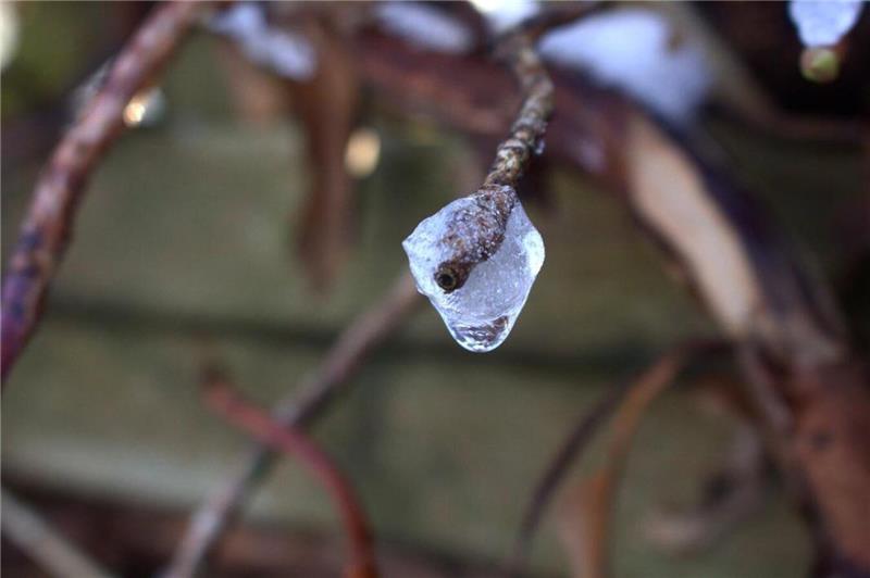 Winterliche Leserfotos aus der Region.