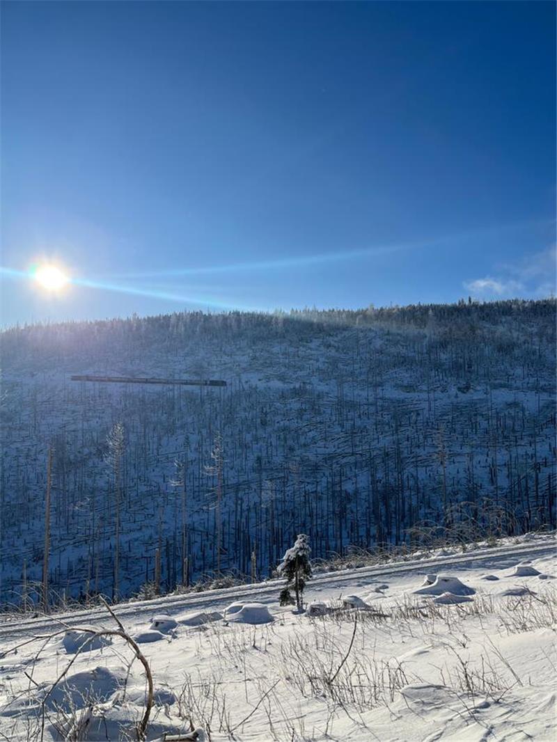 Winterliche Leserfotos aus der Region.