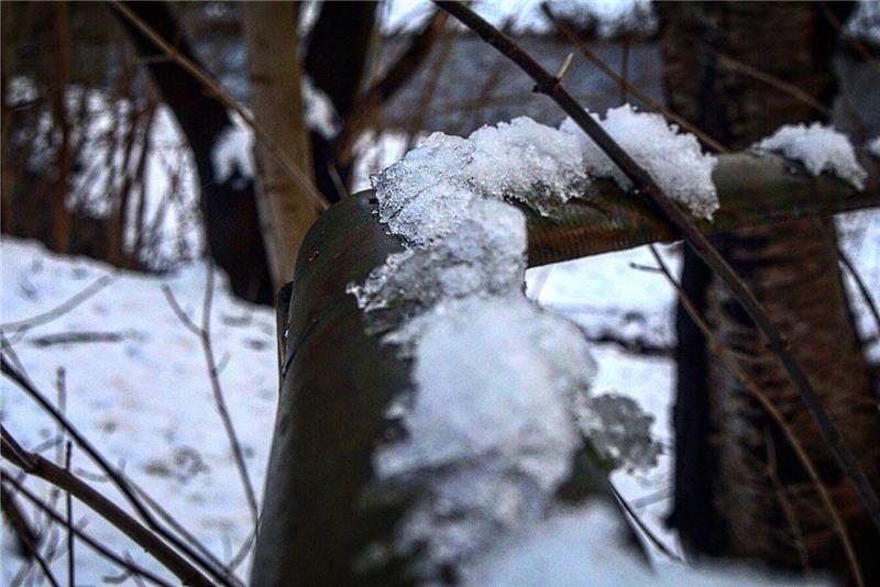 Winterliche Leserfotos aus der Region.