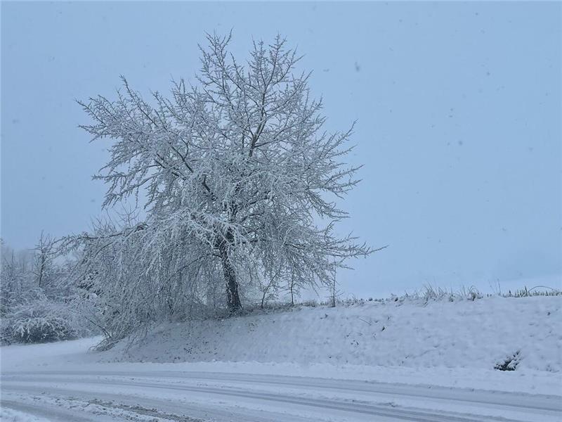 Winterliche Leserfotos aus der Region.