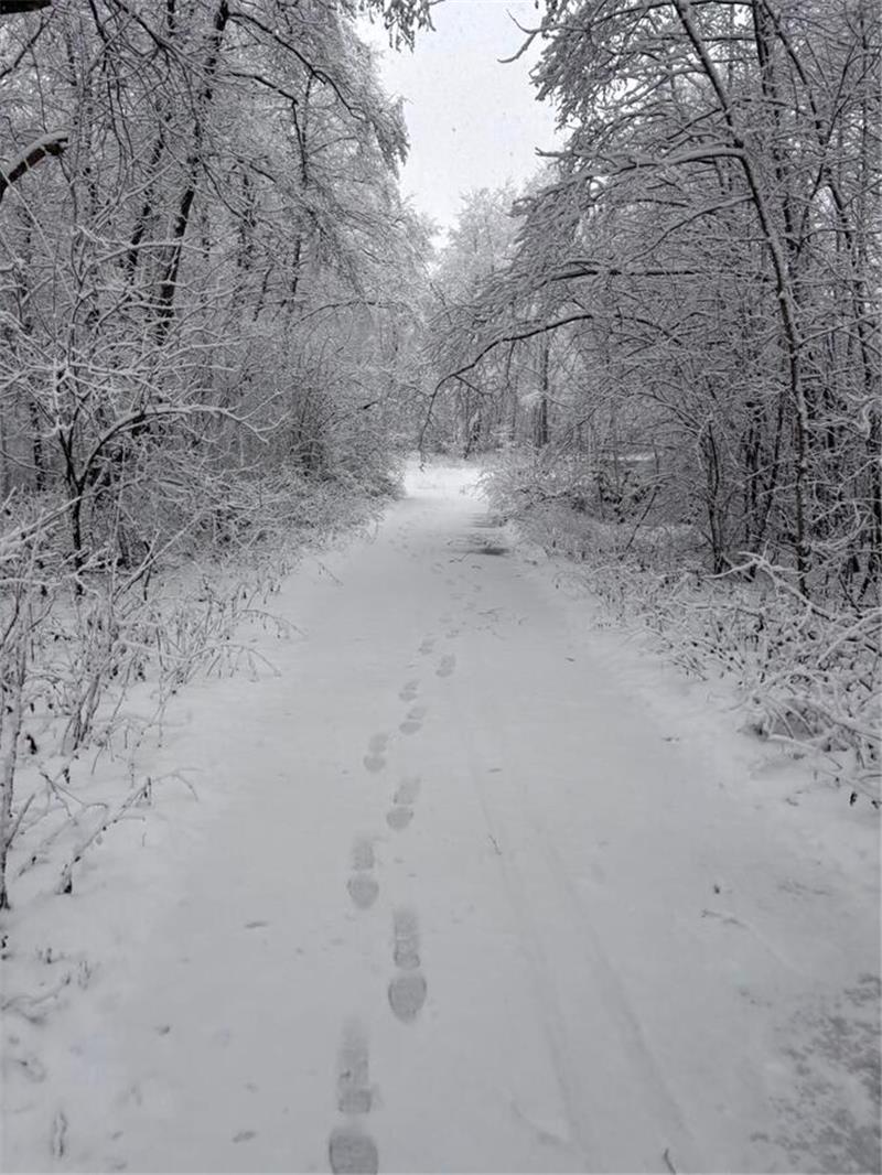Winterliche Leserfotos aus der Region.