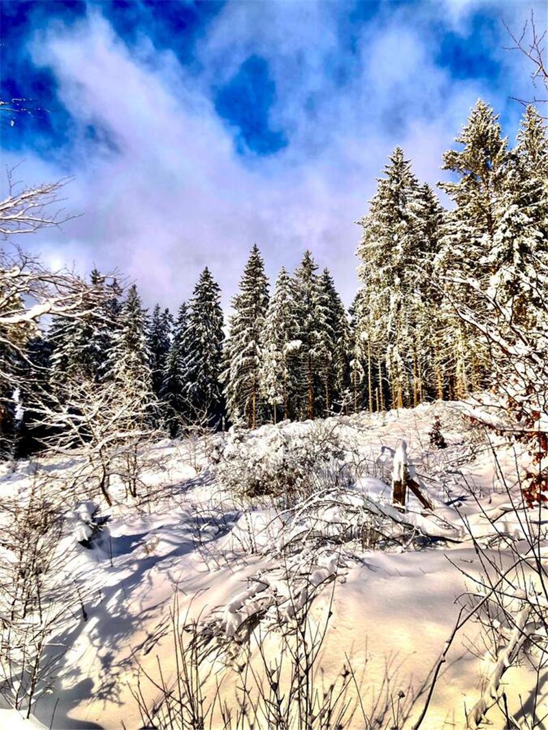 Winterliche Leserfotos aus der Region.