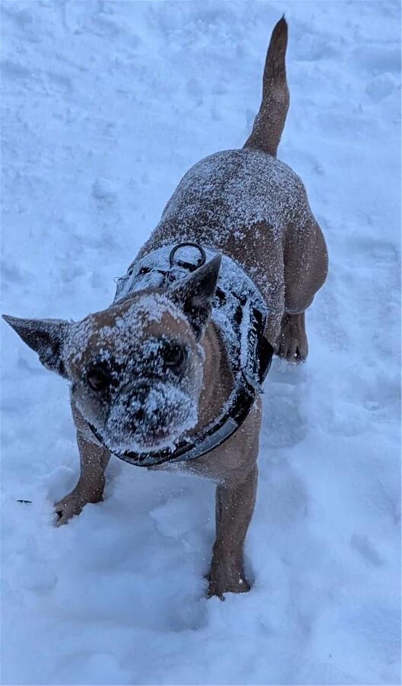 Winterliche Leserfotos aus der Region.