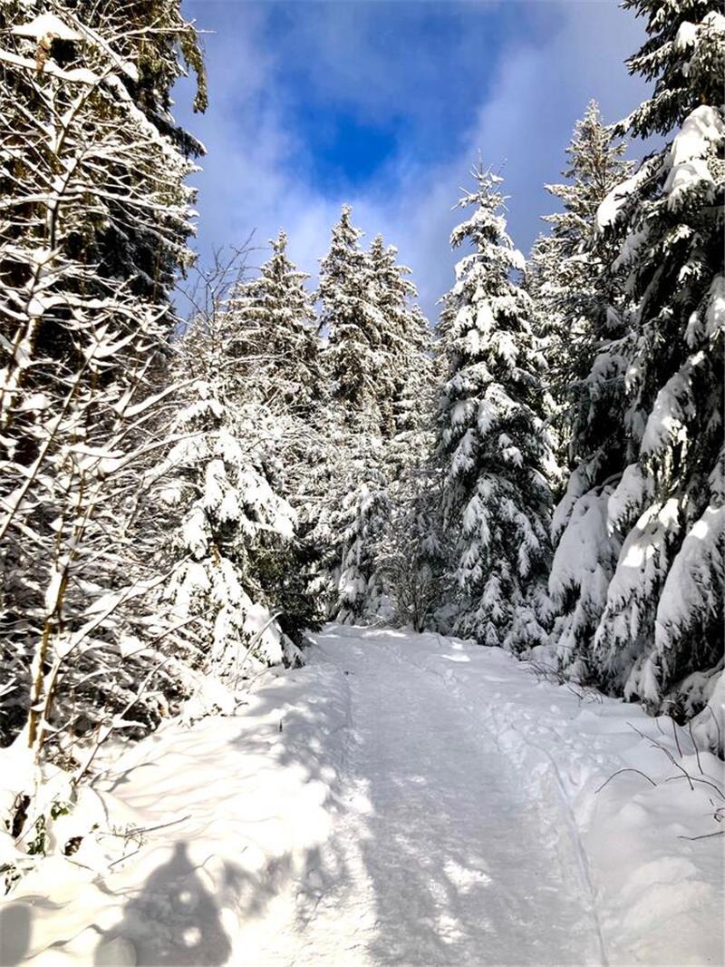 Winterliche Leserfotos aus der Region.