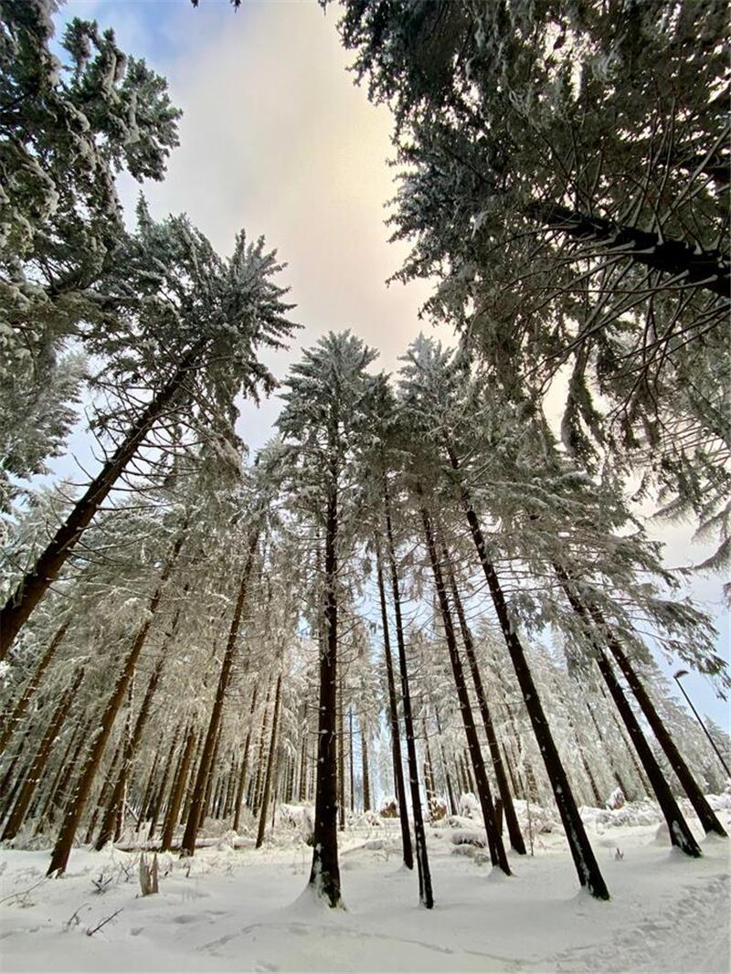 Winterliche Leserfotos aus der Region.