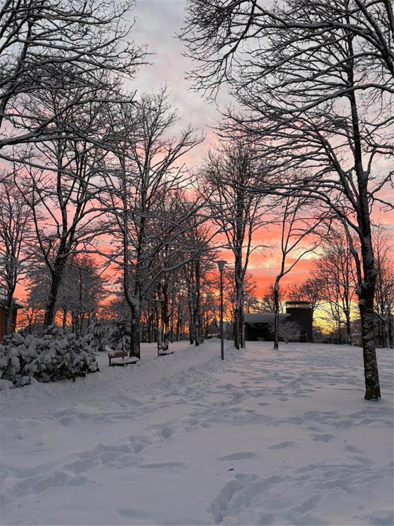 Winterliche Leserfotos aus der Region.