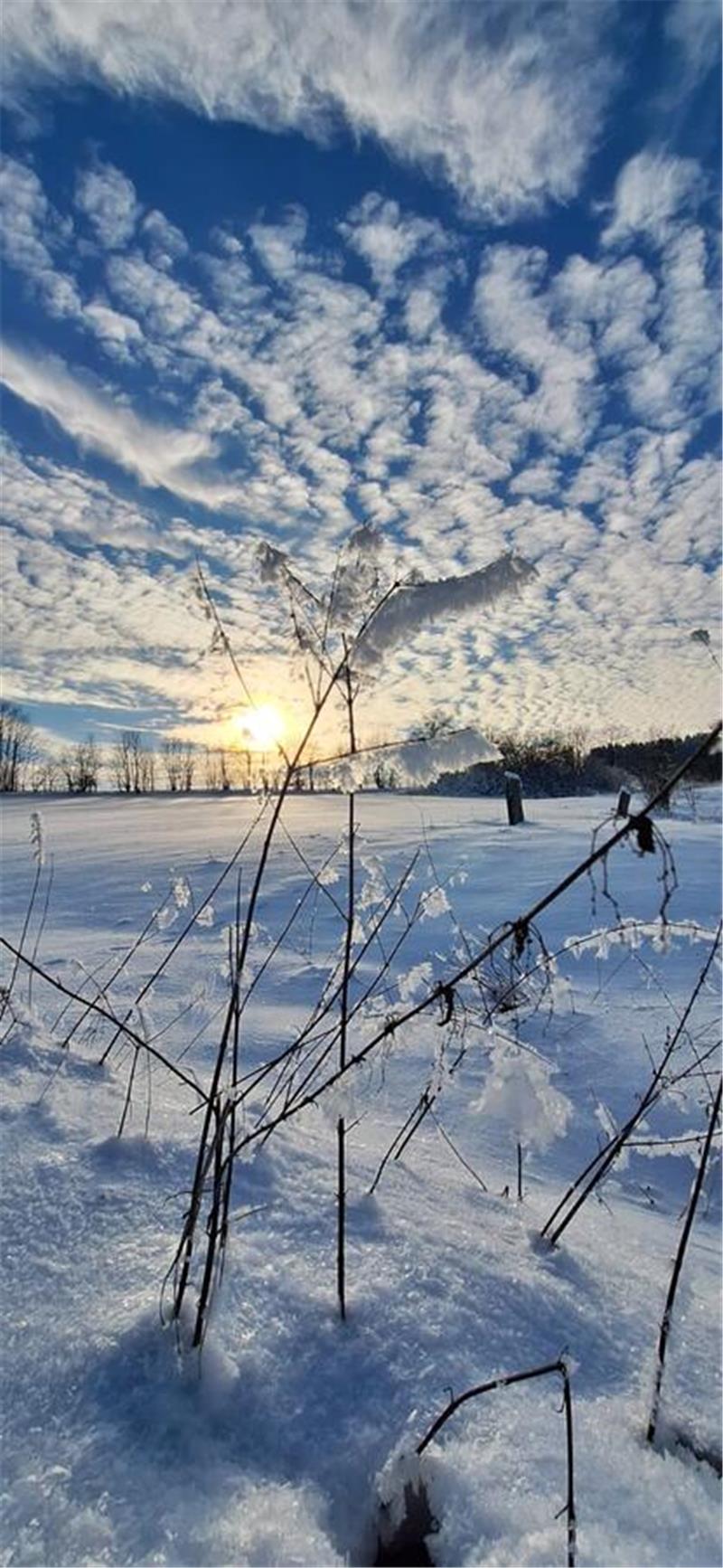 Winterliche Leserfotos aus der Region.