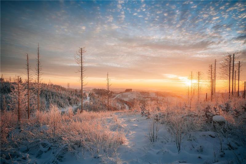 Winterliche Leserfotos aus der Region.