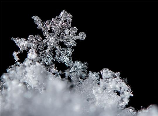 Winzige Wasserteilchen und Staubkörner spielen die entscheidenden Rollen, wenn es um die Entstehung von Schneeflocken geht.