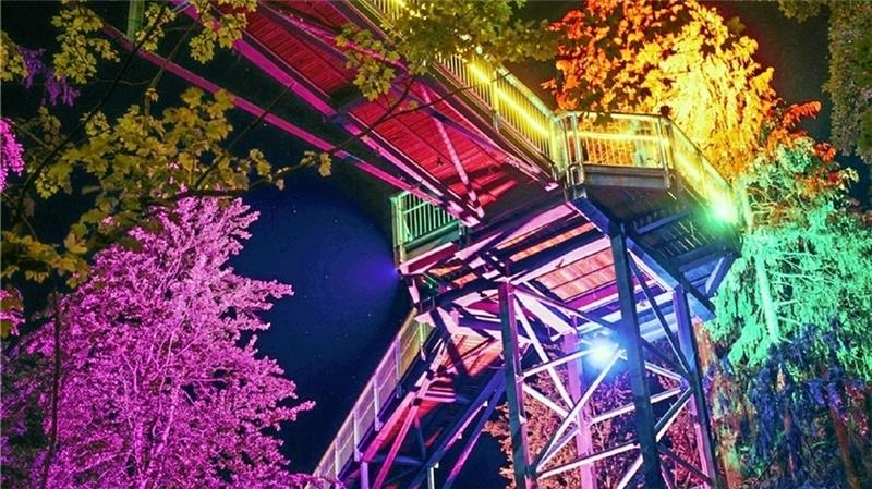 So wird das 6. Baumwipfelleuchten in Bad Harzburg Wipfelleuchten im Kalten Tal: Illuminationen, Musik und ein Showprogramm sorgen am 20. August für Unterhaltung am Baumwipfelpfad. Fotos: HarzVenture GmbH/ Nordstadtlicht
