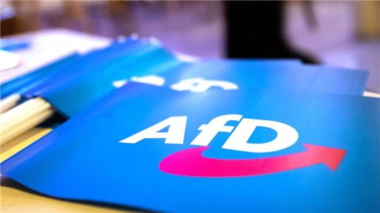 Wirbel um AfD-Großspende. (Symbolbild)