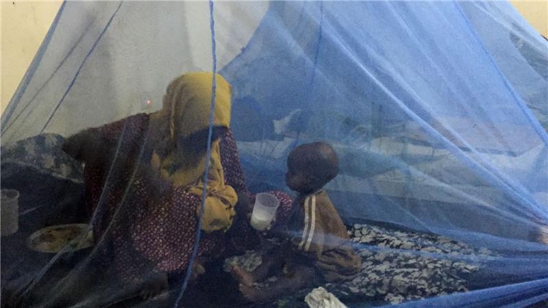 Wirksamer Schutz vor Malaria: Moskitonetze. (Archivbild)