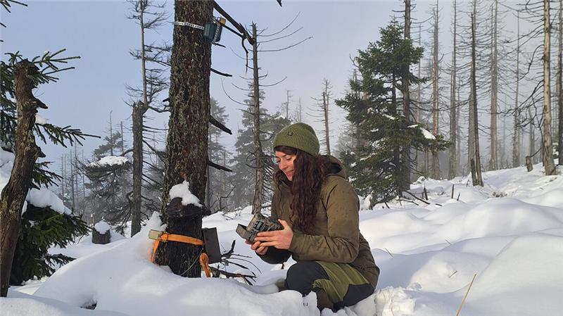 Eine Frau kniet im Wald im Schnee, in der Hand hält sie ein technisches Gerät.