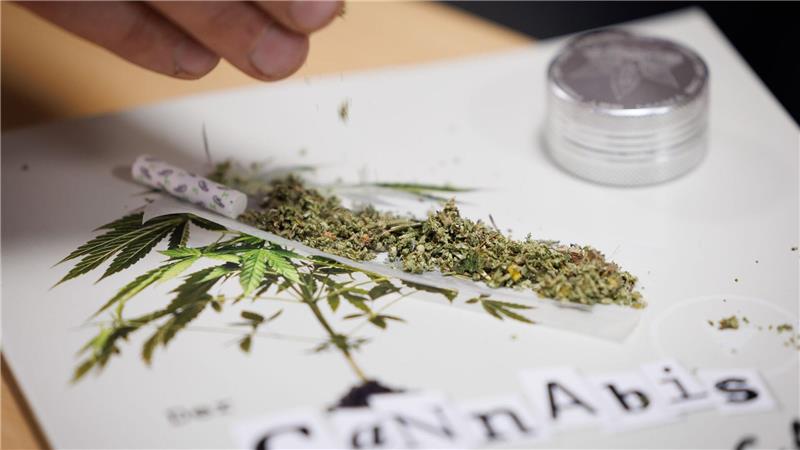Hälfte der Erwachsenen in Deutschland für legales Kiffen Wohl nicht überraschend: Vor allem jüngere Menschen halten das Cannabisgesetz für richtig. (Symbolbild)