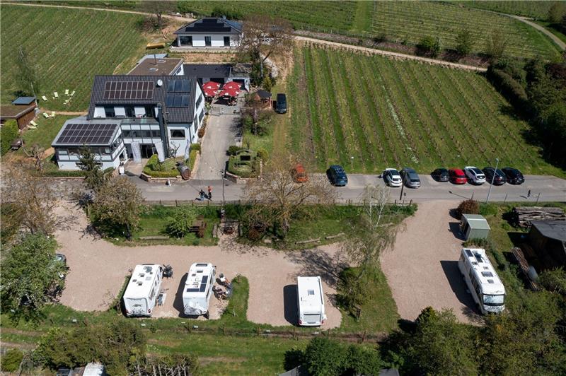 Camping-Boom: Stellplätze am Weingut und Bauernhof gefragt Wohnmobilstellplätze auf dem Gelände eines Weinguts im Rheingau.