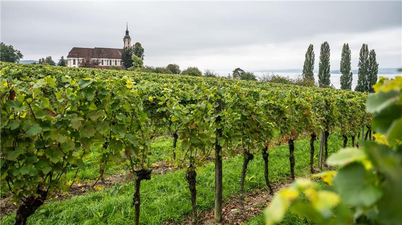Oktober-Bilanz: Trüber und nasser Herbstmonat Wolkenverhangen zeigten sich große Teile Deutschlands in diesem Monat. (Archivbild)