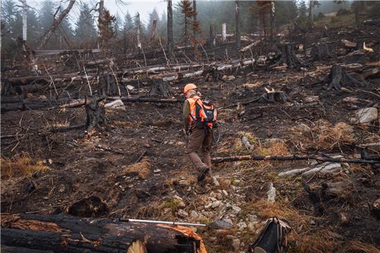 Wüst, kahl, verbrannt: Ein Fotograf war mit Nationalparkrangern an den Hängen am Brocken unterwegs, wo das Feuer über Tage hinweg gewütet hat. Foto: Tobias Brabanski/Nordstadtlicht