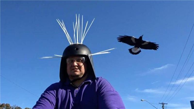 Magpies: Australiens überraschende Angreifer aus der Luft Youtuber Daniel Fitzgerald testet seinen Anti-Magpie-Helm.