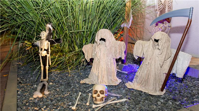 Zahlreiche Bad Harzburger haben an Halloween ihre Vorgärten geschmückt.