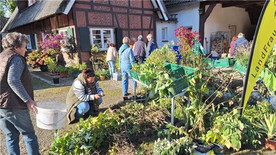 Zahlreiche Hobbygärtner besuchen die Staudenbörse auf dem Birkenhof.
