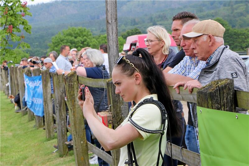 Pferde-Nachwuchs aus dem Neiletal begeistert bei Fohlenschau Zahlreiche Zuschauer finden sich am Gelände der Reitanlage Klatt in Hahausen ein und verfolgen die Schau. Foto: Gereke