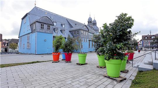 Zehn farbenfrohe Pflanzenkübel kann die Stadt von der Landesgartenschau in Bad Gandersheim übernehmen. Aktuell stehen sie auf dem Marktkirchenplatz. Foto: Neuendorf