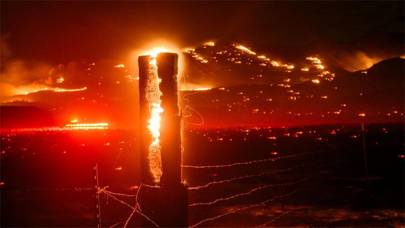 Zehntausende Hektar hat das Feuer zwischen Kalifornien und Nevada bereits erfasst. 