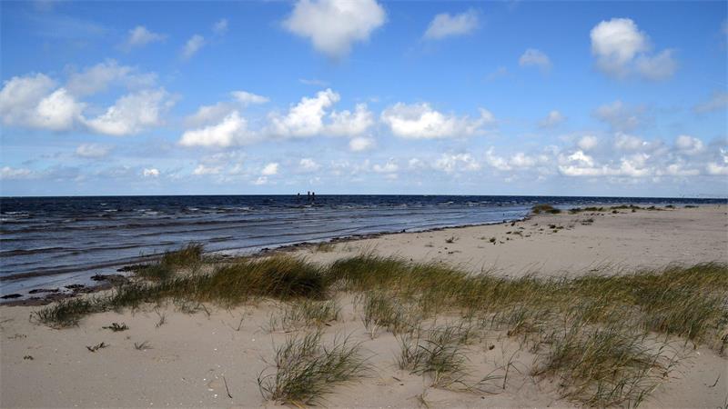 Verborgene Welten – Unbekannte Inseln in Norddeutschland Zehntausende Zugvögel rasten auf Scharhörn jährlich. (Archivbild)
