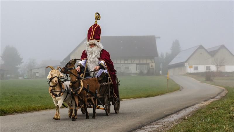 Ziegen ziehen Nikolausgespann