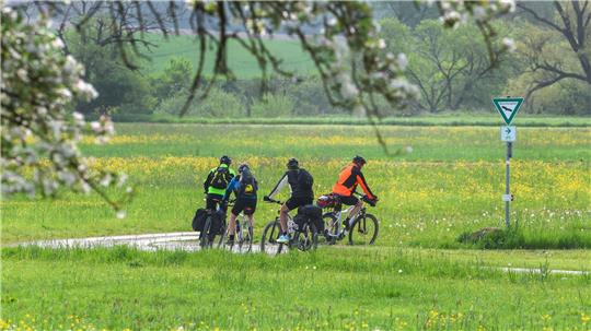 Zu beginnenden Radsaison warnt das Landeskriminalamt Niedersachsen vor Fahrraddiebstahl. (Symbolbild)