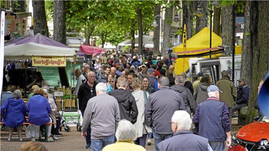 Zu den Kastanienfesten kommen jedes Jahr mehrere Tausend Besucher nach Bad Harzburg.