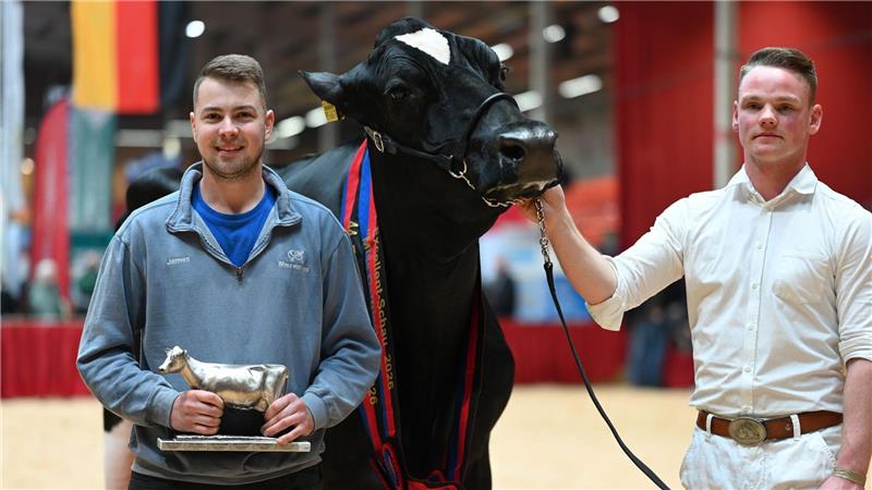 Züchter Jannes Rohdemann (l.) hat nun mit Kuh Alge eine Miss Ostfriesland im Stall stehen. 