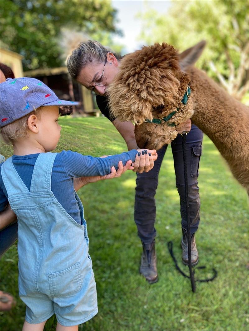 Alpaka-Besuch in für Kita-Kinder in Döhren Zuerst nicht ganz geheuer – aber dann doch die Hand ausgestreckt. Foto: Privat