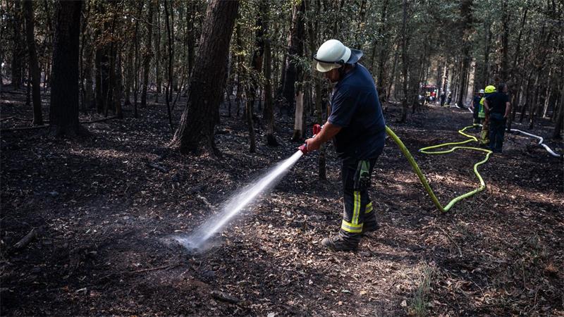 Zuletzt musste die Feuerwehr im Hürtgenwald nur noch Glutnester löschen. (Archivbild)