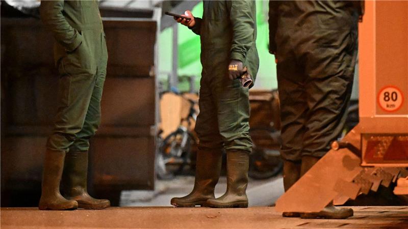 Vogelgrippe auf dem Vormarsch - Kraniche stark betroffen Zuletzt wurde ein großer Ausbruch der Krankheit im Südwesten bekannt.