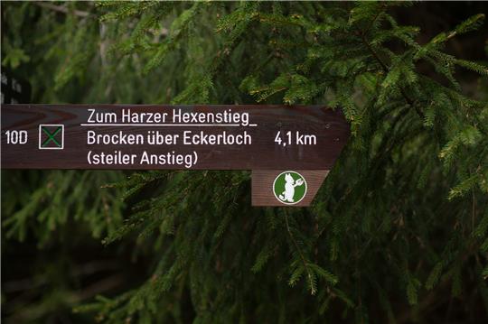 „Zum Harzer Hexenstieg“ steht nahe Schierke (Sachsen-Anhalt) auf einem Schild, das den Wanderweg zum Brocken über das Eckerloch weist. Foto: picture alliance/dpa/dpa-Zentralbild | Klaus-Dietmar Gabbert