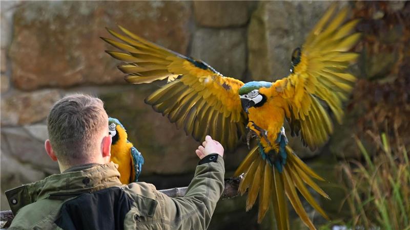 Zum Jahreswechsel hat das Zoo-Team den Tierbestand gezählt, gemessen und gewogen.