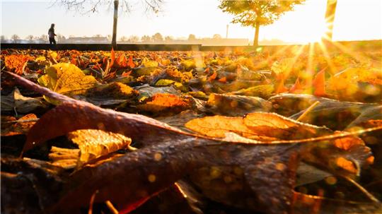 Zum Oktoberbeginn zeigt sich der Herbst von seiner besten Seite. (Symbolbild)