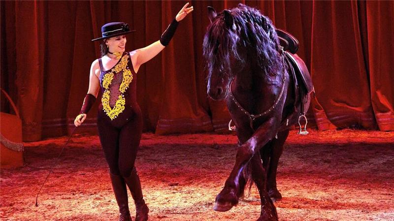 Circus Paul Busch gastiert auf dem Osterfeld in Goslar Zum Programm des Circus Busch gehört auch die Hohe Schule der Pferdedressur.