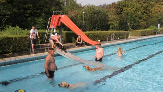 Mehrere Personen und zwei Hunde im Schwimmbecken neben einer roten Rutsche im Freien