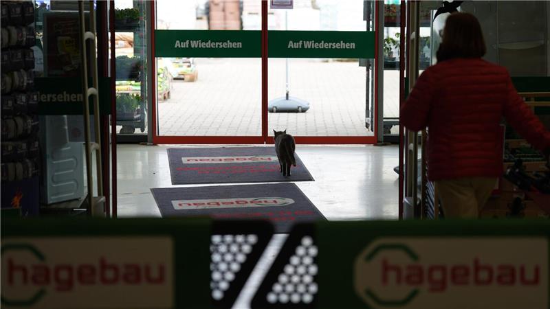 Katze Lotti wohnt in Plöner Baumarkt Zum Schlafen verlässt Lotti den Markt.