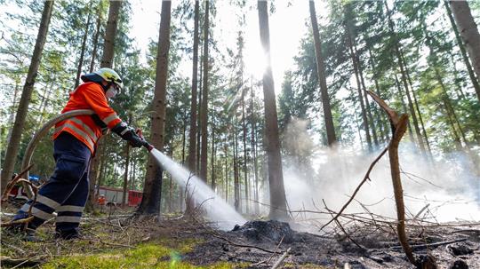 Zum Sommeranfang mit den erwarteten hohen Temperaturen steigt die Waldbrandgefahr in Niedersachsen. (Symbolbild)
